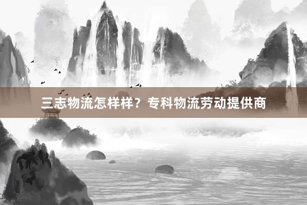 三志物流怎样样？专科物流劳动提供商