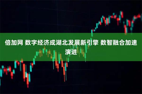 倍加网 数字经济成湖北发展新引擎 数智融合加速演进