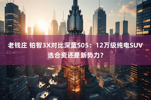 老钱庄 铂智3X对比深蓝S05：12万级纯电SUV选合资还是新势力？