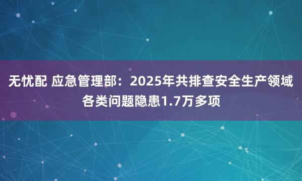 无忧配 应急管理部：2025年共排查安全生产领域各类问题隐患1.7万多项