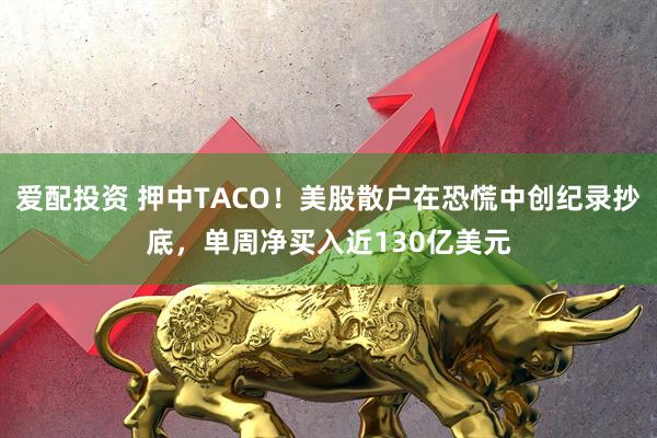 爱配投资 押中TACO！美股散户在恐慌中创纪录抄底，单周净买入近130亿美元
