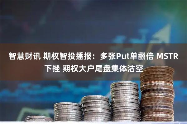 智慧财讯 期权智投播报：多张Put单翻倍 MSTR下挫 期权大户尾盘集体沽空