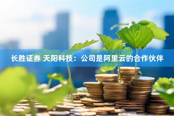 长胜证券 天阳科技：公司是阿里云的合作伙伴